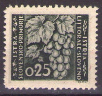 ISTRIA E LITORALE SLOVENO 1945. Tiratura Di Lubiana, Dent. 10 1/2-11 1/2, Sass. 41,TIPO II MH* - Occup. Iugoslava: Litorale Sloveno