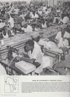 Photo  -  Reproduction -  Afrique - Sénégal - Usine De Chaussures à Rufisque - Afrique