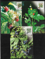 Slovakia   Carte Maximum   RARE 2000 **  Nature Conservation - Forest Fruits 3 Cartes   **  Slowakei - Storia Postale