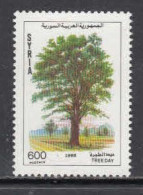 1992 Syria Arbor Day Trees Complete Set Of 1 MNH - Syria