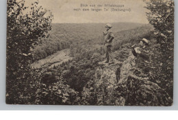 0-4711 BREITUNGEN, Blick Von Der Wihaiskuppe, 1916 - Sangerhausen