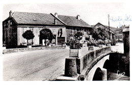 COLROY LA GRANDE  -  CPSM  -  Le Pont  -  N° C 173 - Colroy La Grande