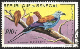 SENEGAL  1960  -  PA 32  -  Rollier - Oblitéré - Senegal (1960-...)