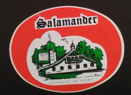 AUTOCOLLANT SALAMANDER - OOSTMALLE - DISCOTHÈQUE NIGHT-CLUB  BELGIQUE BELGIË BELGIUM - Stickers