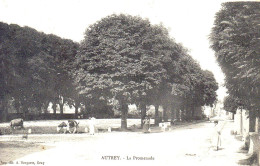 AUTREY  -  La Promenade - Autrey-lès-Gray