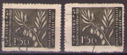 ISTRIA E LITORALE SLOVENO 1946. Tiratura Di Zagabria, Dent. 12, Sass. 54, USED - Yugoslavian Occ.: Slovenian Shore