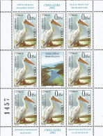 CG 2001-BIRDS PELICAN, CRNA GORA MONTENEGRO, MS. MNH - Pelícanos