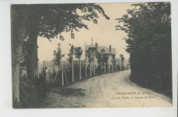 CHAMPAGNE SUR OISE - La Rue Pairix, à L'entrée De Vaux - Champagne Sur Oise