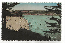 Névez (29) : Vue Aérienne Générale Sur La Plage De Port Manec'h En 1956 (animé) PF. - Névez