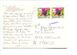 SINGAPORE - Abeille Charpentiere Sur Carte Postale Pour La France - Honeybees