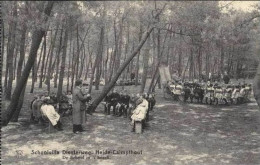 HEIDE-CALMPTHOUT - KALMTHOUT - Schoolvilla Diesterweg - De School In 't Bosch - Kalmthout