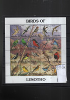 Lesotho  Birds Theme Michel Cat.No. Mnh/** Sheet 945/964 - Lesotho (1966-...)