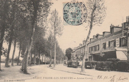 77 - SAINT PIERRE LES NEMOURS - Avenue Carnot - Saint Pierre Les Nemours