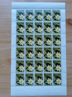 COB 1524 Feuille(s) Complète(s) NMH Année 1970. Floralies Gantoises IV. Nénuphar - 1961-1970