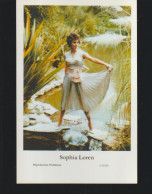 SOFIA LOREN  Postcard - 1-(rp) - Femmes Célèbres