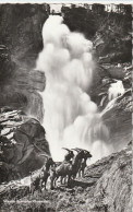 Oberer Krimmler Wasserfall (1961) - Krimml