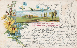 AK Künstlerkarte - Vergiss Nicht Mein - Landschaft Blumen - 1902 (65446) - 1900-1949