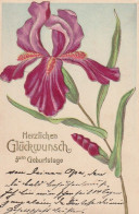 AK Glückwunsch Zum Geburtstage - Orchidee - Künstlerkarte Reliefdruck - Werbestempel Muttersprache - Ca. 1910 (65449) - Birth