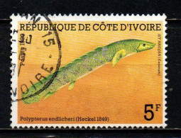 COSTA D'AVORIO - 1986 - Polypterus Endlicheri - USATO - Côte D'Ivoire (1960-...)