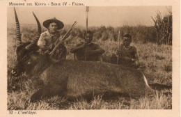 MISSIONE DEL KENYA - L ANTILOPE - Kenya