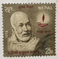 NEPAL - (0) - 1973 -   # 254 - Nepal