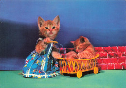 FANTAISIES - Un Chaton Dans Un Chariot Poussé Par Sa Mère - Colorisé - Carte Postale Ancienne - Geklede Dieren