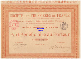 Action Société Des Truffières De France 1899 Complète En Bon état (pas De Pliure Verticale) , Truffe - Landwirtschaft