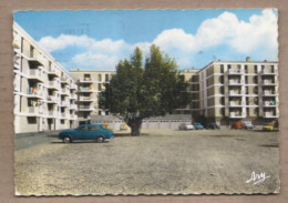 CPSM 84 - SORGUES - Cité Des Griffons - TB PLAN Quartier HLM + TB AUTOMOBILES PEUGEOT 403 203 SIMCA PANHARD - Sorgues