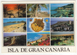 112 - Souvenir - Isla De Gran Canaria - (Espana/Spain) - Gran Canaria