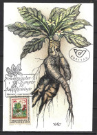 AUTRICHE. N°1687 De 1986 Sur Carte Maximum. Mandragore. - Plantas Medicinales