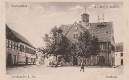 67 - Bischwiller - Ancienne Mairie - Bischwiller