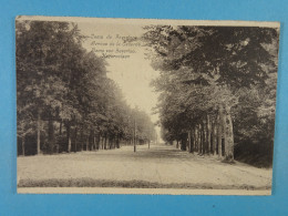 Camp De Beverloo Avenue De La Caserne - Leopoldsburg (Kamp Van Beverloo)