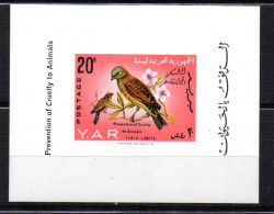 Hb De Yemen - Águilas & Aves De Presa