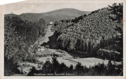 ALLEMAGNE - Teuteburger Wald - Lippische Shweiz - Carte Postale Ancienne - Andere & Zonder Classificatie