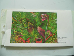 Aerogramma Primo Giorno Di Emissione "FLOWER OF NEWFOUNDLAND - PITCHER PLANT" 1973 - Storia Postale