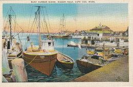 Woods Hole, Cape Cod, Massachusetts  Busy Harbor Scene - Cape Cod