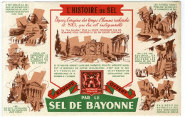 64  LE SEL DE BAYONNE  -  L HISTOIRE DU SEL    -  BUVARD  TRES BON ETAT - Food