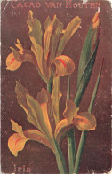 FLEURS  & PLANTES - ARBRES - Iris - Colorisé - Carte Postale  Ancienne - Blumen