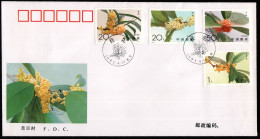 China FDC/1995-6 Flower — Osmanthus 1v MNH - 1990-1999