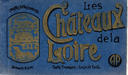 Les Châteaux De La Loire - Carnet De 20 Vues - Collections & Lots