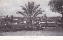 CPA - PANORAMA DAL PINCIO, PALM, TREES, CHURCHES, BUILDINGS, ROME - ITALY - Multi-vues, Vues Panoramiques