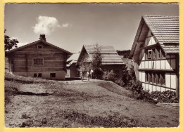 Engländer Und Finnen Haus Mit Sauna - English And Finnish House - Kinderdorf Pestalozzi Trogen Switzerland - Posted 1962 - Trogen