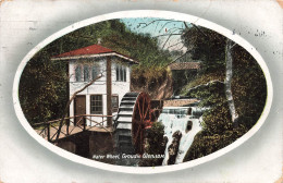 PHOTOGRAPHIE - Water Wheel - Groudle Glen - Colorisé - Carte Postale Ancienne - Photographie