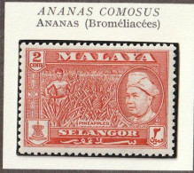 MALAISIE - SELANGOR - Fruits, Ananas - 1957 - MH - Selangor