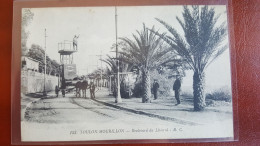 Toulon Mourillon , Travaux Sur La Ligne De Tramway ,machine Tractée Par Un Cheval - Toulon