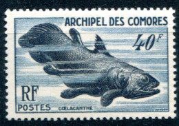 Archipel Des Comores      13 ** Faune Marine - Ungebraucht