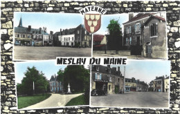 53 Meslay Du Maine Mayenne Multivues Inédite - Meslay Du Maine