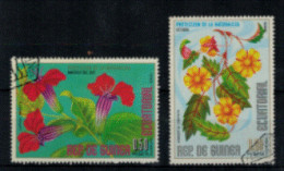 Guinée Equatoriale - "Fleurs D'Amérique Du Sud Et D'Océanie" - Oblitéré N° 89 De 1976 - Guinée Equatoriale