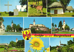 GERMANY, SAXONY ANHALT, BURGENLAND, CASTLE, CHURCH, DEER, CROSS, FLOWER - Burgenland