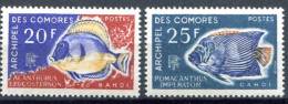 Archipel Des Comores       47/48 **   Poissons - Neufs